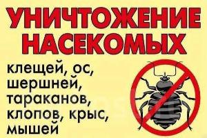 Уничтожение тараканов и клопов, муравьев. Дезинфекция и фумигация Город Петрозаводск